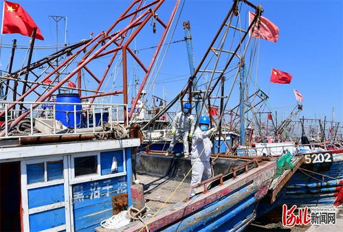 河北唐山 千帆追 鮮 開捕 電力貼心護(hù)航